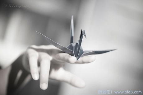 点击查看原图