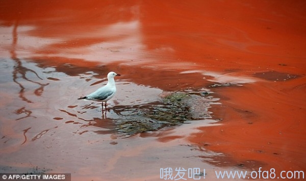 点击查看原图