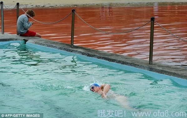 点击查看原图