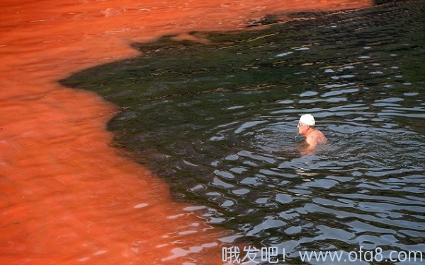 点击查看原图