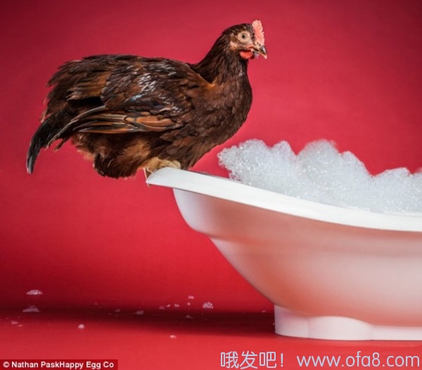 点击查看原图