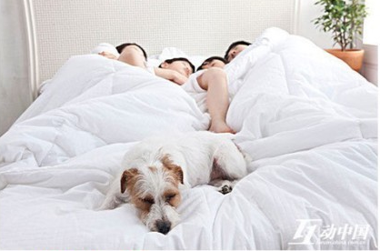 点击查看原图