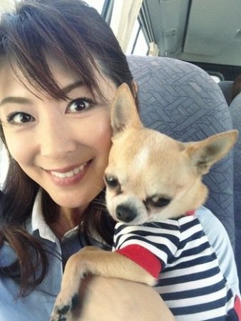 点击查看原图
