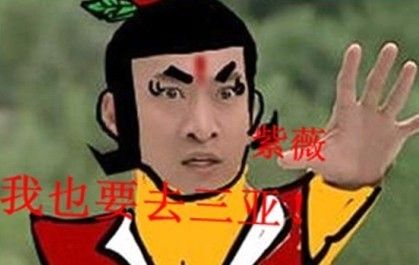 点击查看原图