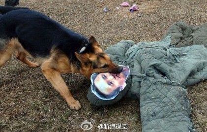 点击查看原图