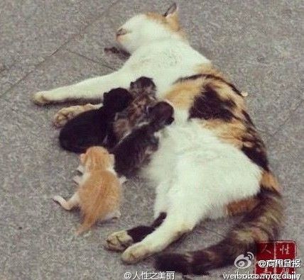 点击查看原图
