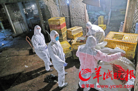 点击查看原图