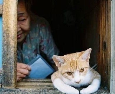 点击查看原图