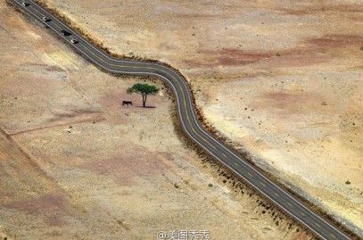点击查看原图