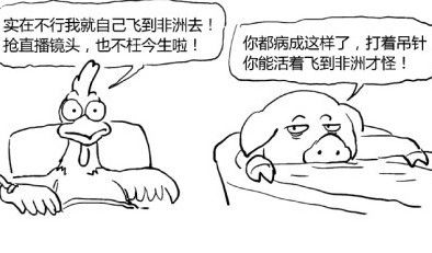 点击查看原图