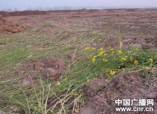 点击查看原图
