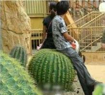 点击查看原图
