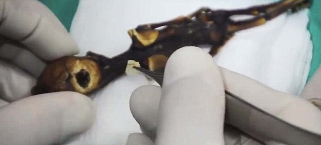 点击查看原图