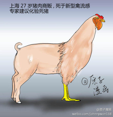 点击查看原图
