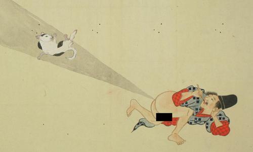 点击查看原图
