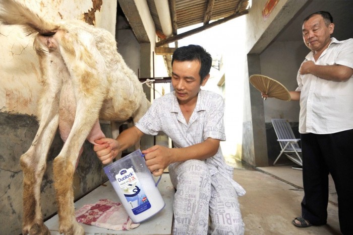 点击查看原图